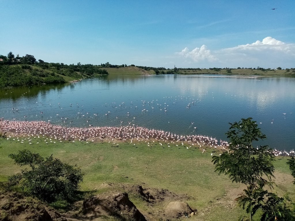 Lake Simbi Nyaima（水系 / 湖泊 / 海岸）-非行家旅行-Africa Wild Wander