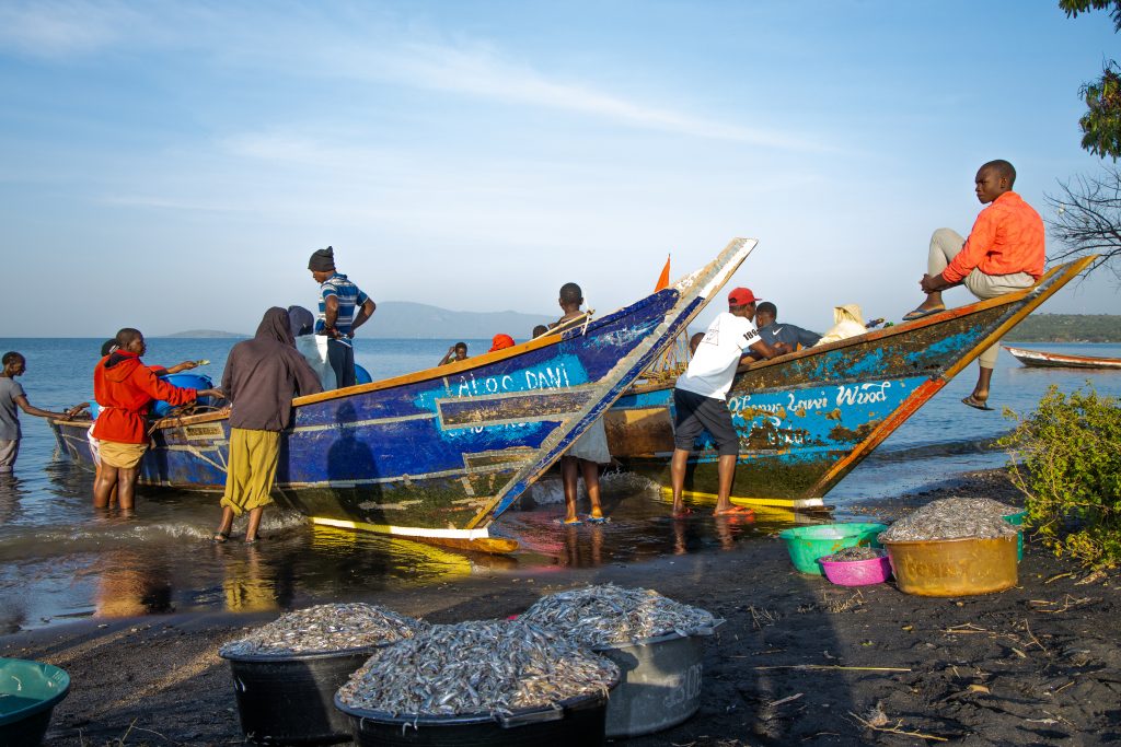 Rusinga Island（水系 / 湖泊 / 海岸）-非行家旅行-Africa Wild Wander