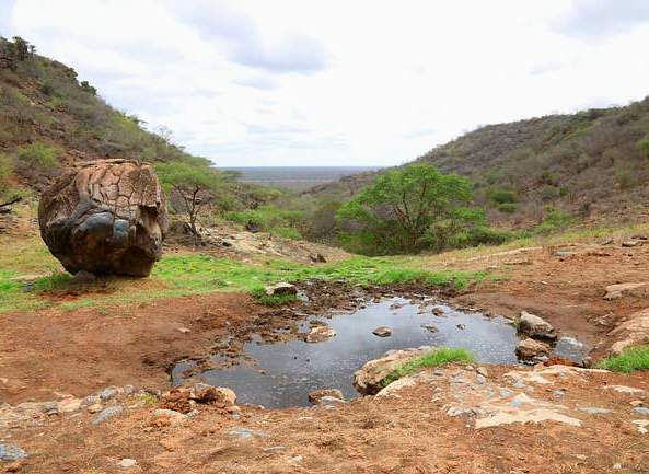 Yatta (Tsavo) Springs（Tsavo East / 野生动物）-非行家旅行-Africa Wild Wander