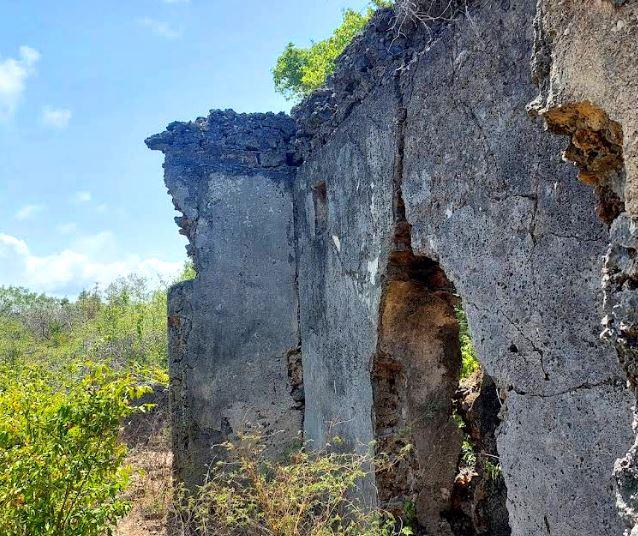 Shanga Ruins（尚加遗址）-非行家旅行-Africa Wild Wander