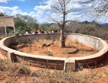 Mutomo Reptile Park（穆托莫爬行动物公园）