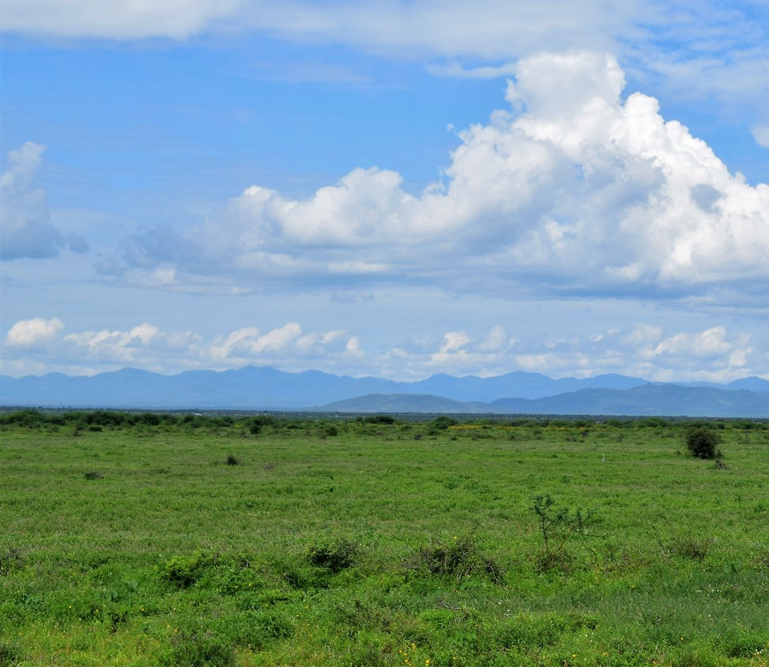 Nyambene Range（自然景观 / 徒步）-非行家旅行-Africa Wild Wander