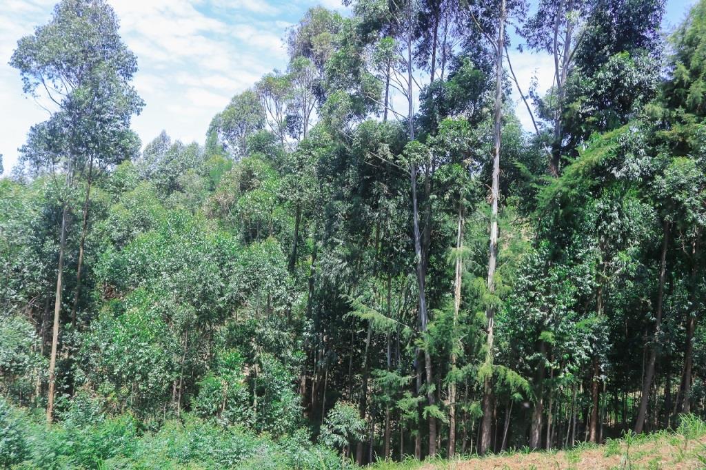 Kiabonyoru Hill（水系 / 湖泊 / 海岸）-非行家旅行-Africa Wild Wander