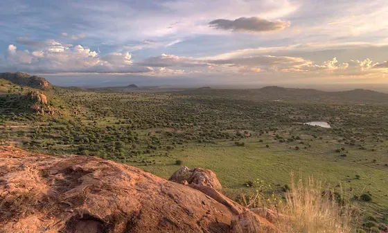 肯尼亚 Safari 传统与旅游遗产-非行家旅行-Africa Wild Wander