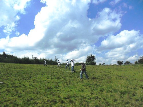 Sharpe’s Longclaw Reserve（县域目的地）-非行家旅行-Africa Wild Wander