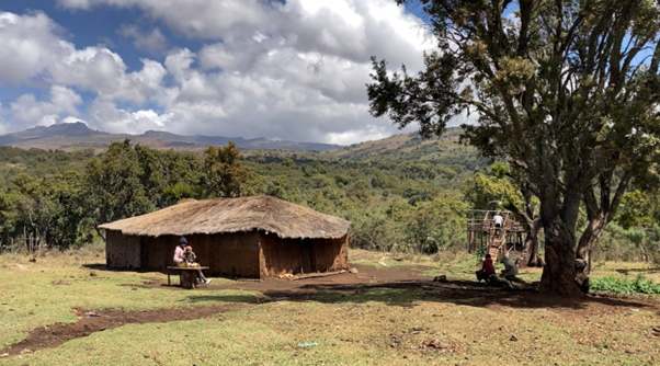 Chepkitale Forest（历史遗产 / 博物馆）-非行家旅行-Africa Wild Wander