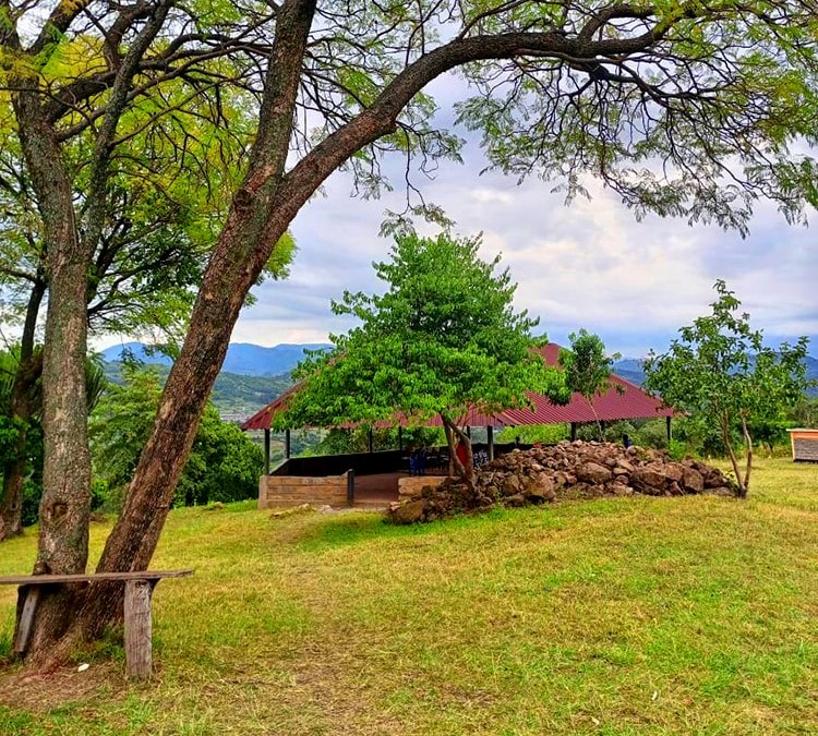 Fort Ternan Museum（福特特南史前遗址博物馆）-非行家旅行-Africa Wild Wander