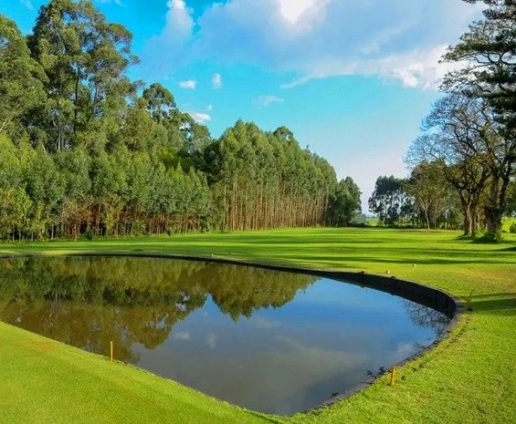 Kericho Golf Course(住宿 / 休闲设施)-非行家旅行-Africa Wild Wander
