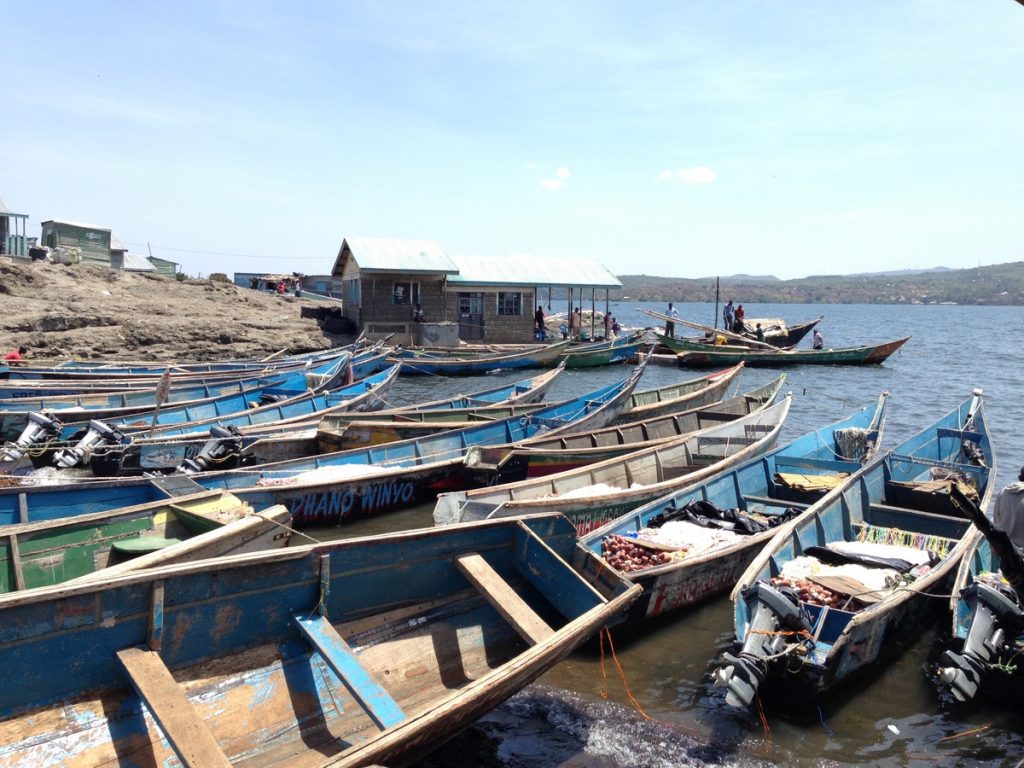 Ringiti Island（水系 / 湖泊 / 海岸）-非行家旅行-Africa Wild Wander