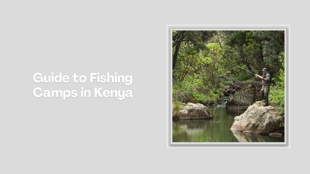 Mzima Fishing Camp(水系 / 湖泊 / 海岸)-非行家旅行-Africa Wild Wander
