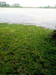 Lake Ishaqbini（水系 / 湖泊 / 海岸）