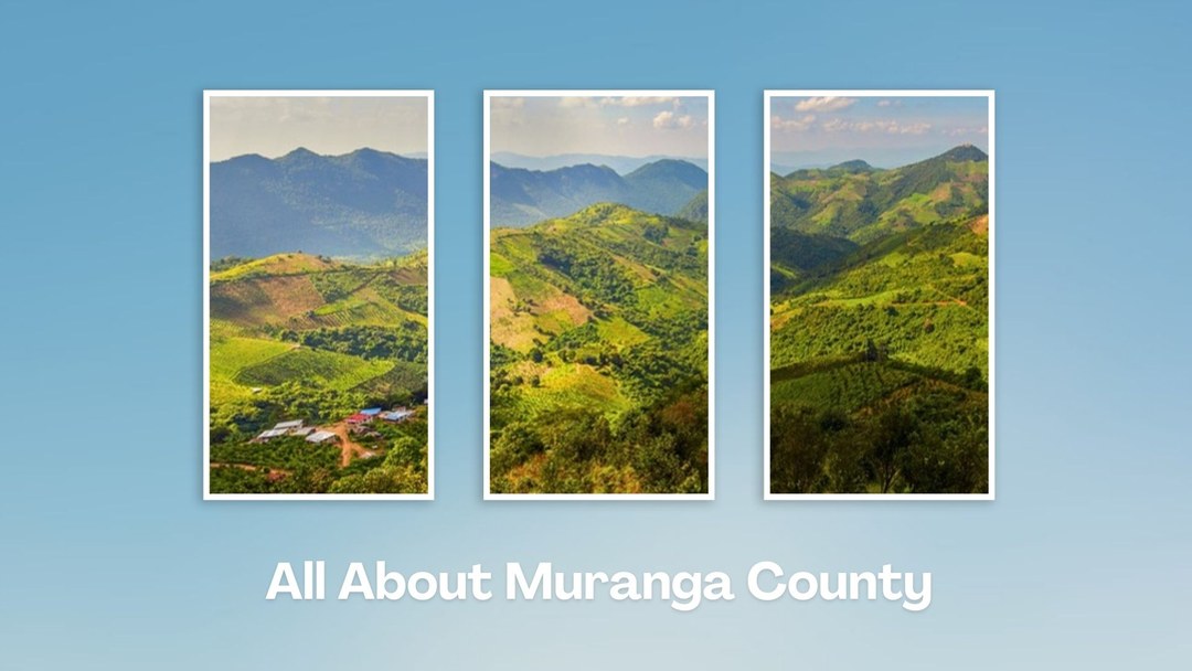 Murang'a County（穆兰加县）-非行家旅行-Africa Wild Wander