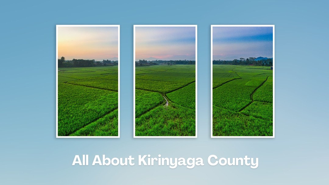 Kirinyaga County（基里尼亚加县）-非行家旅行-Africa Wild Wander