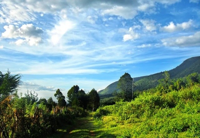 Wanjohi Valley（瀑布 / 森林水系）-非行家旅行-Africa Wild Wander