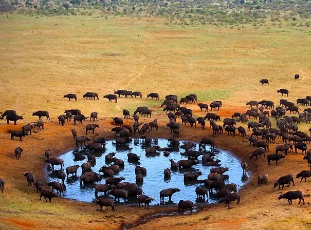 Kajiado County（县域概览）-非行家旅行-Africa Wild Wander