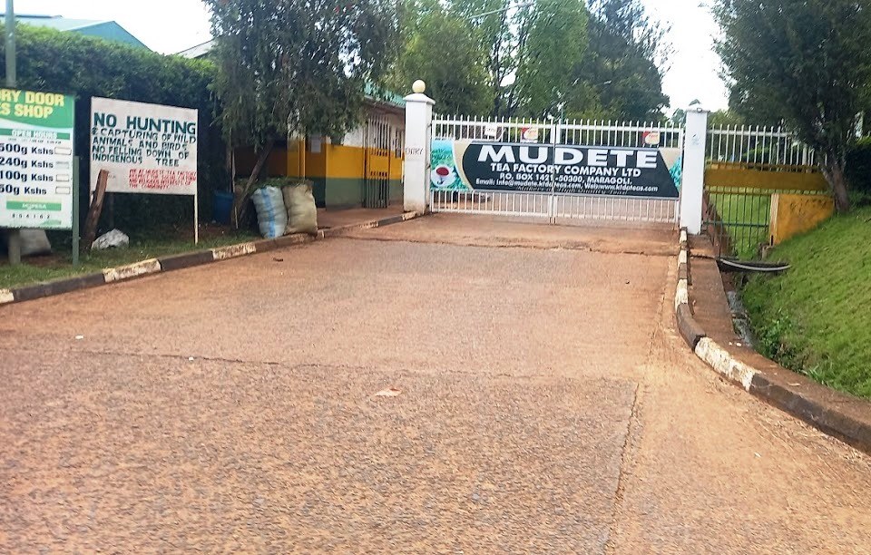 Mudete Tea Factory（穆德特茶厂）-非行家旅行-Africa Wild Wander