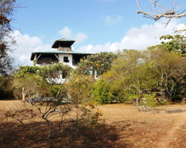 Takaungu House(水系 / 湖泊 / 海岸)-非行家旅行-Africa Wild Wander