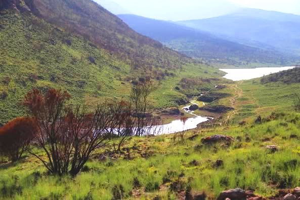 Lake Thai（地貌 / 瀑布 / 泉水）-非行家旅行-Africa Wild Wander