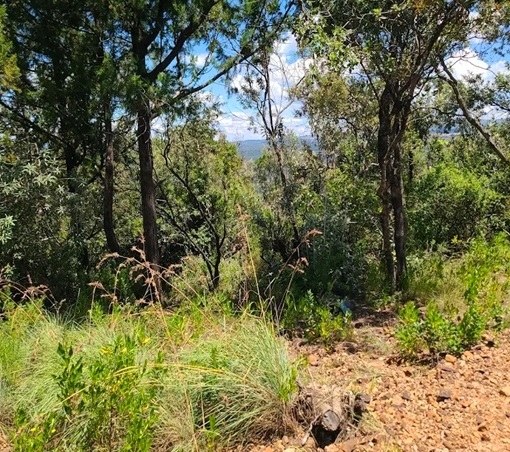 Tulwap Kipsigis Hill（山地 / 洞穴）-非行家旅行-Africa Wild Wander