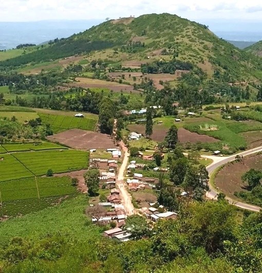 Chepsangor Coffee（产业 / 地方资源）-非行家旅行-Africa Wild Wander
