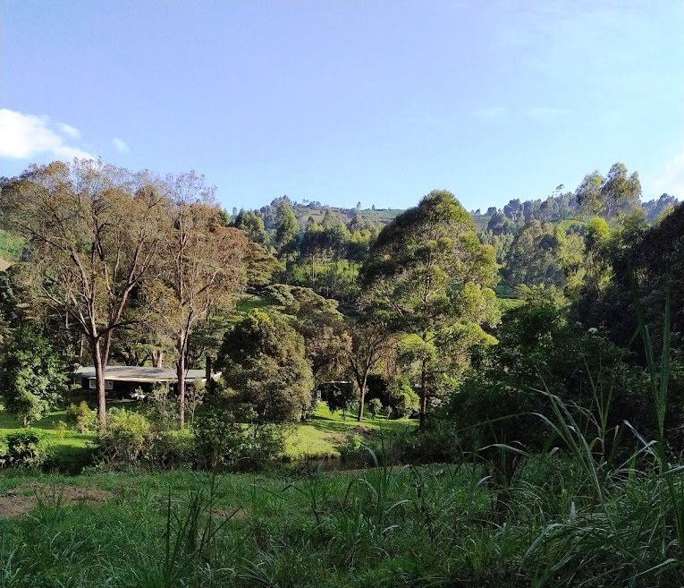 Kenya Fly Fishers（县域目的地）-非行家旅行-Africa Wild Wander