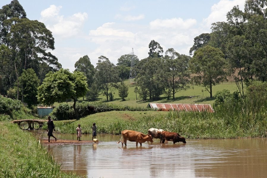 River Gucha（水系 / 湖泊 / 海岸）-非行家旅行-Africa Wild Wander