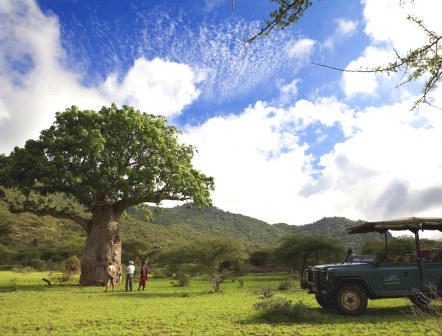 Campi Ya Kanzi（Chyulu / Kilimanjaro 视野）-非行家旅行-Africa Wild Wander
