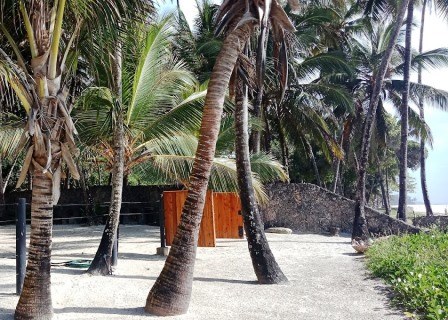 Sails Beach Bar（海滩 / 岛屿）-非行家旅行-Africa Wild Wander