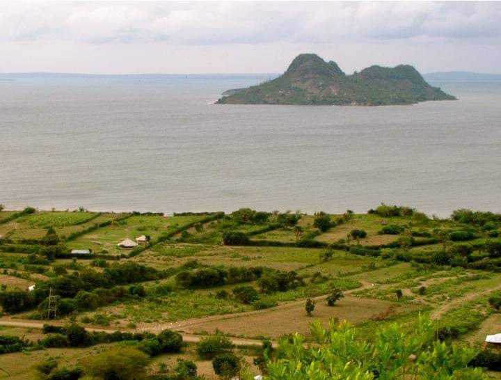 Ngodhe Island（水系 / 湖泊 / 海岸）-非行家旅行-Africa Wild Wander