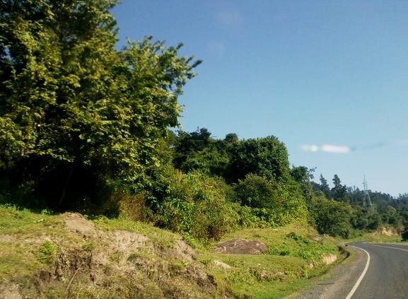 Kamatira Forest（历史遗产 / 博物馆）-非行家旅行-Africa Wild Wander