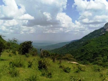 Camping in the North（自然景观 / 徒步）-非行家旅行-Africa Wild Wander