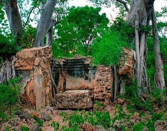 Nabhani Ruins（斯瓦希里遗产 / 博物馆）-非行家旅行-Africa Wild Wander