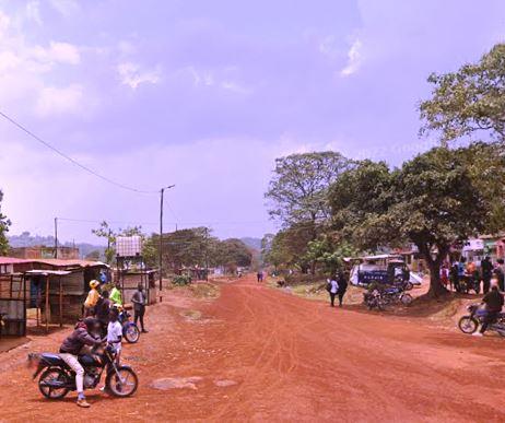 Muyayi Dam（水系 / 湖泊 / 海岸）-非行家旅行-Africa Wild Wander