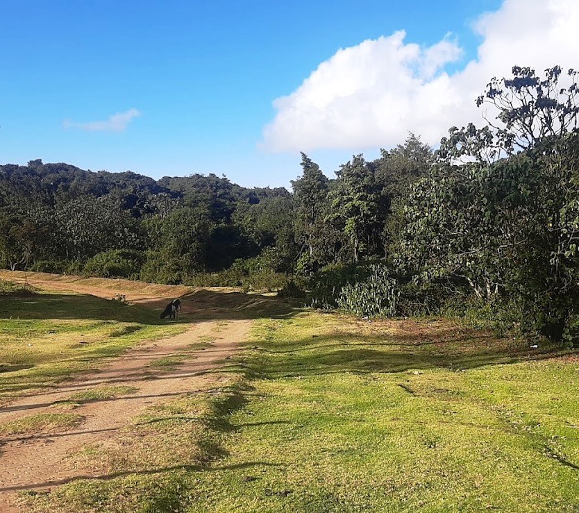 Nyambene Range（自然景观 / 徒步）-非行家旅行-Africa Wild Wander