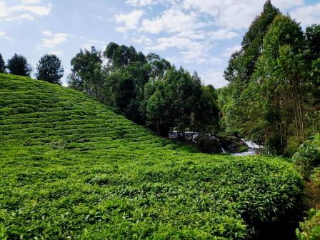 Kathiri Falls（卡蒂里瀑布）-非行家旅行-Africa Wild Wander