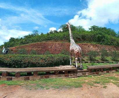 Makongo Viewpoint（马孔戈观景点）-非行家旅行-Africa Wild Wander