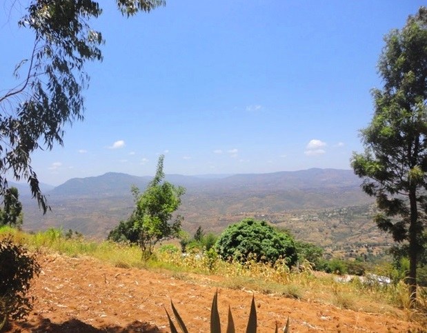 Iveti Hills Forest（伊韦蒂山森林）-非行家旅行-Africa Wild Wander