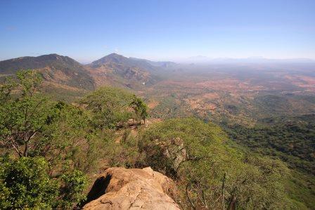 Forests of Kenya（自然景观 / 徒步）-非行家旅行-Africa Wild Wander