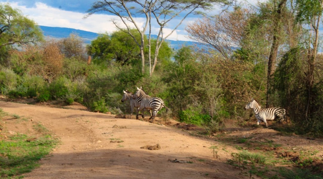 Rimoi National Reserve（水系 / 湖泊 / 海岸）-非行家旅行-Africa Wild Wander