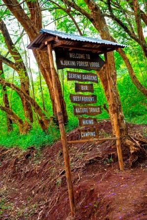 Njukiini Forest（恩朱基尼森林）-非行家旅行-Africa Wild Wander