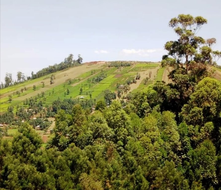 Nkoora Hill（水系 / 湖泊 / 海岸）-非行家旅行-Africa Wild Wander