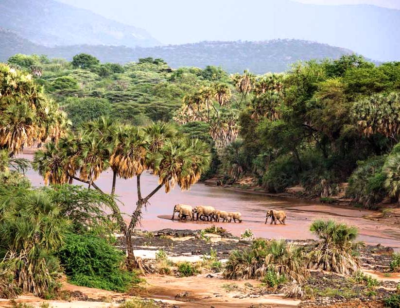 Shaba National Reserve（水系 / 湖泊 / 海岸）-非行家旅行-Africa Wild Wander