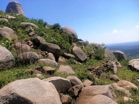 Maragoli Hills / Mungoma Hills（马拉戈利丘陵）-非行家旅行-Africa Wild Wander
