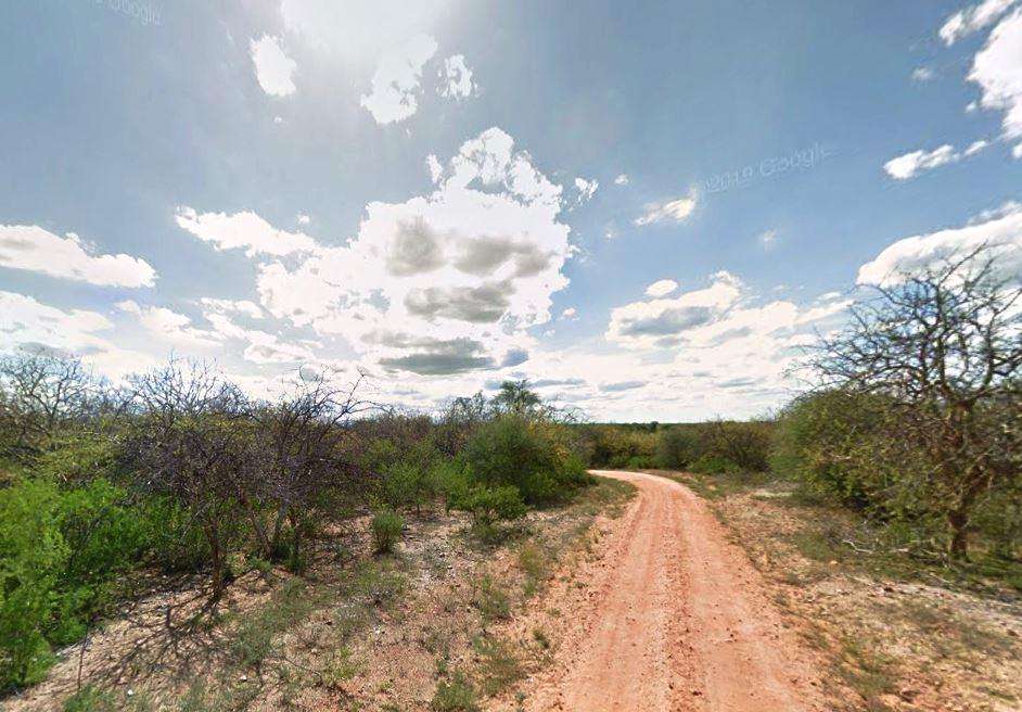 Mwingi National Reserve（姆温吉国家保护区）-非行家旅行-Africa Wild Wander