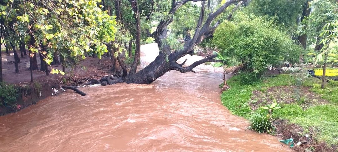 River Sosiani Park（索西亚尼河公园）-非行家旅行-Africa Wild Wander