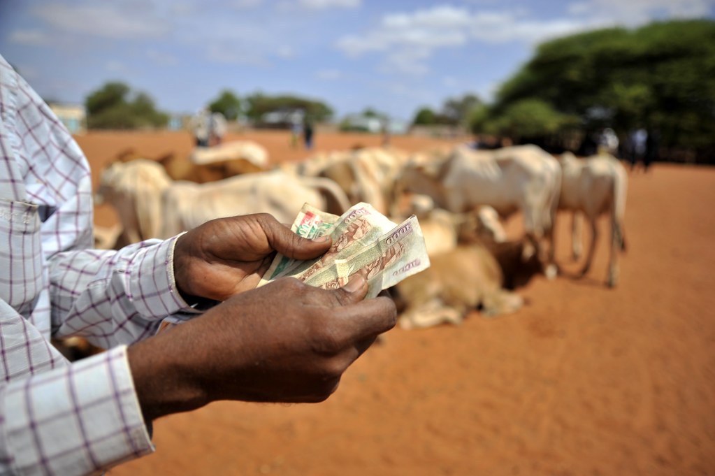 Wajir Livestock Market（县域目的地 / 专题资料）-非行家旅行-Africa Wild Wander