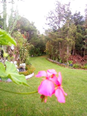 Plovers Eco Camp(住宿休闲 / 艺术度假)-非行家旅行-Africa Wild Wander