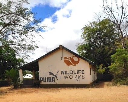 Rukinga Wildlife Sanctuary（保护地 / 私营保护区）-非行家旅行-Africa Wild Wander