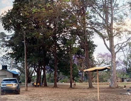 Makuyu Golf Club（公路景观 / 休闲设施）-非行家旅行-Africa Wild Wander
