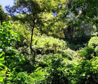 Chebulu Conservancy（县域目的地）-非行家旅行-Africa Wild Wander
